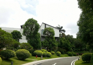 園中園小區綠化