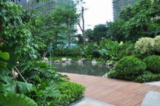 地稅小區綠化