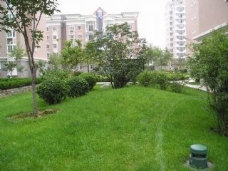 鹿鳴苑小區綠化