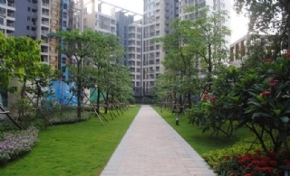 東方麗城小區綠化